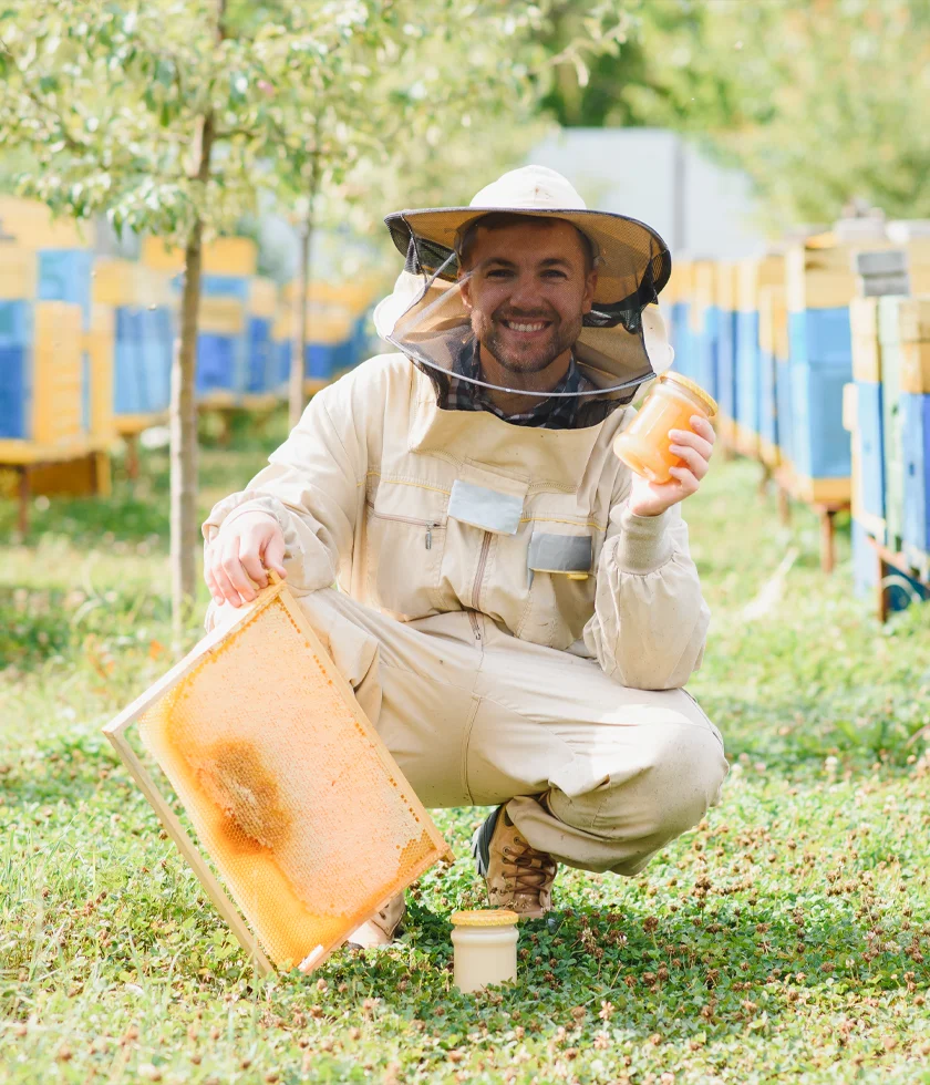 Μελισσοτροφές